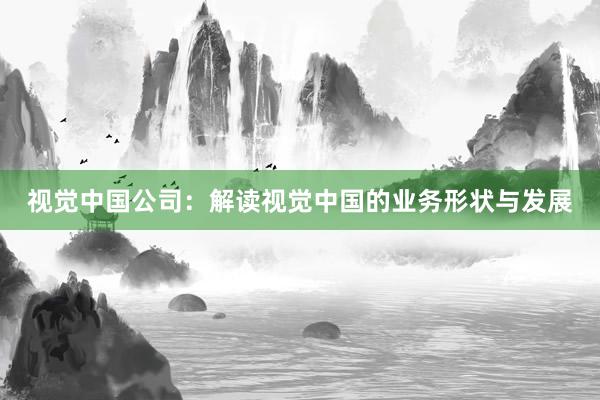 视觉中国公司：解读视觉中国的业务形状与发展